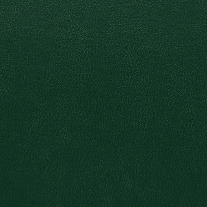 SKIVERTEX® 17 8006 Green Chevo