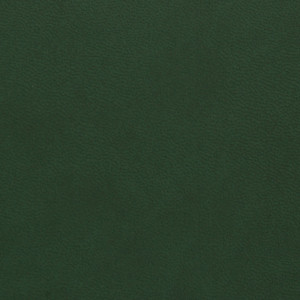 SKIVERTEX® Silktouch Thermo - Yana Green 29926