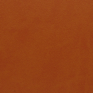 SKIVERTEX® - Anila 5272