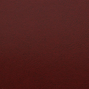SKIVERTEX® - Ashai 5289