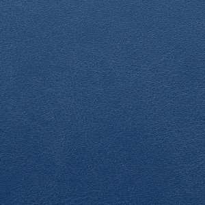 SKIVERTEX® - Ashai 5290