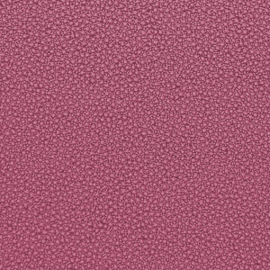 SKIVERTEX® - Galuchat 5320