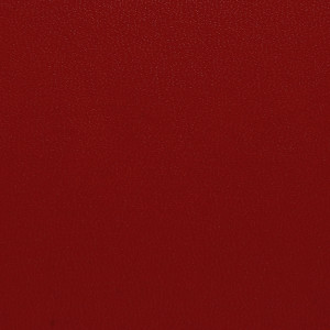 SKIVERTEX® - Kidskin 5603