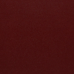 SKIVERTEX® - Kidskin 5604