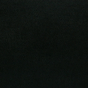 SKIVERTEX® - Kidskin 5621