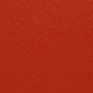 SKIVERTEX® - Kidskin 5632