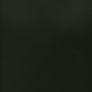 CORVON® Shimmer - Black Ice Powder