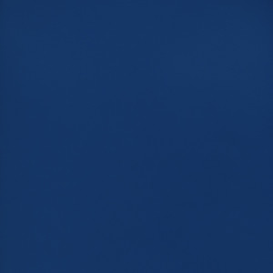 CORVON® Shimmer - Blueberry Powder