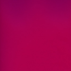 CORVON® Shimmer - Electric Pink Powder