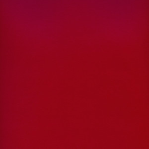 CORVON® Shimmer - Hot Tomato Powder
