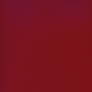 CORVON® Shimmer - Lipstick Powder