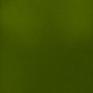 CORVON® Shimmer - Peridot Powder