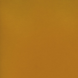 CORVON® Shimmer - Sunny Powder