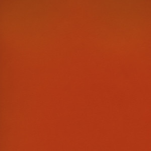CORVON® Shimmer - Tangerine Powder