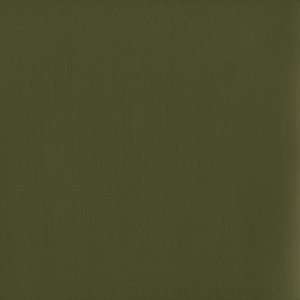 CORVON® Iridescents - Bengaline Olive Green 8557