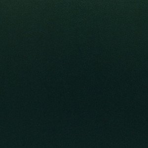 CORVON® Iridescents - Polish Green 8507