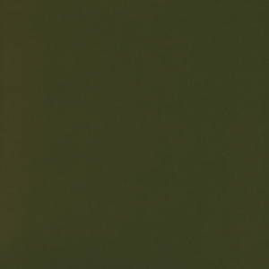 CORVON® Iridescents - Polish Olive Green 8543