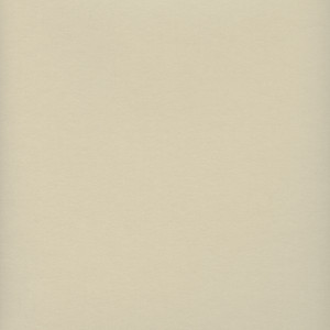 CORVON® Iridescents - Polish Ivory 8545