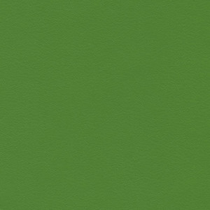 KIVAR® 7 - Kidskin Grass