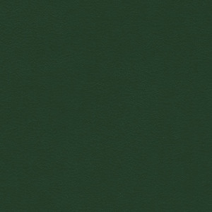 KIVAR® 7 - Kidskin Leaf Green