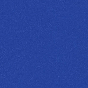 KIVAR® 7 - Kidskin National Blue