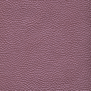 Acrolin 2000 - 27 Purple