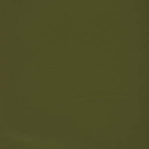 Arbelave® Library Buckram - 555