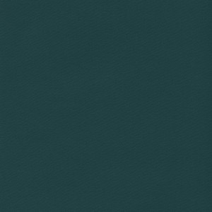 Arbelave® Library Buckram - 558