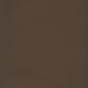 Arbelave® Library Buckram - 578