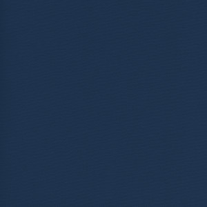 Chamois - Denim Blue 5501