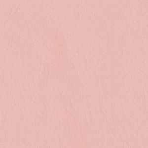 KIVAR® 7 - Firenze Carnation