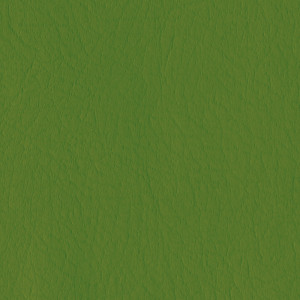 KIVAR® 7 - Firenze Grass
