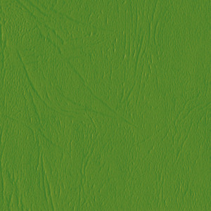 KIVAR® 7 - Llama Grass