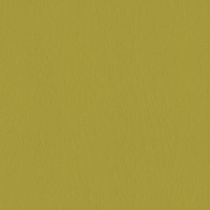 KIVAR® 7 - Firenze Seedling