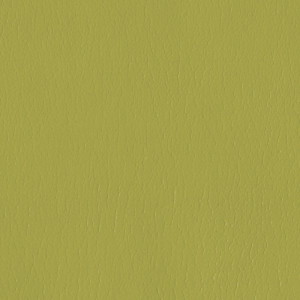 KIVAR® 7 - Corinth Seedling