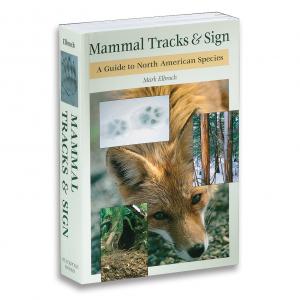 Mammal Tracks & Sign