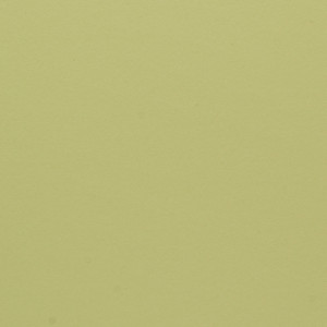 Powder [ CORVON Shadow ]